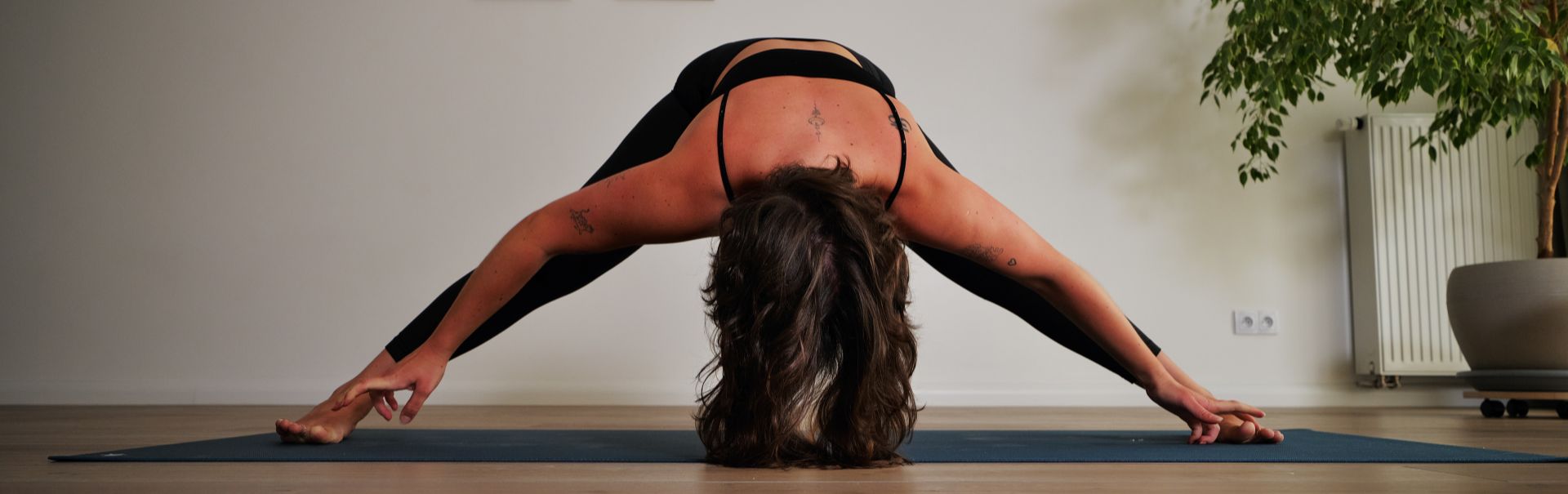 Asana banner 1920x605